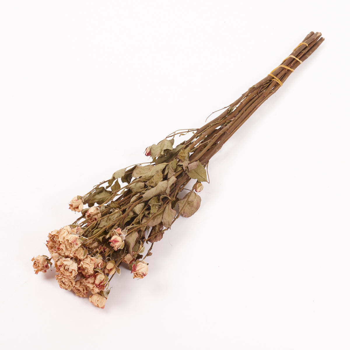 Roses, Spray, Dried, Natural Light Pink, x 8 stems