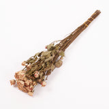 Roses, Spray, Dried, Natural Light Pink, x 8 stems
