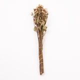 Roses, Spray, Dried, Natural Light Pink, x 8 stems