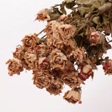 Roses, Spray, Dried, Natural Light Pink, x 8 stems