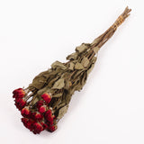 Roses, Spray, Dried, Natural Red, x 8 stems