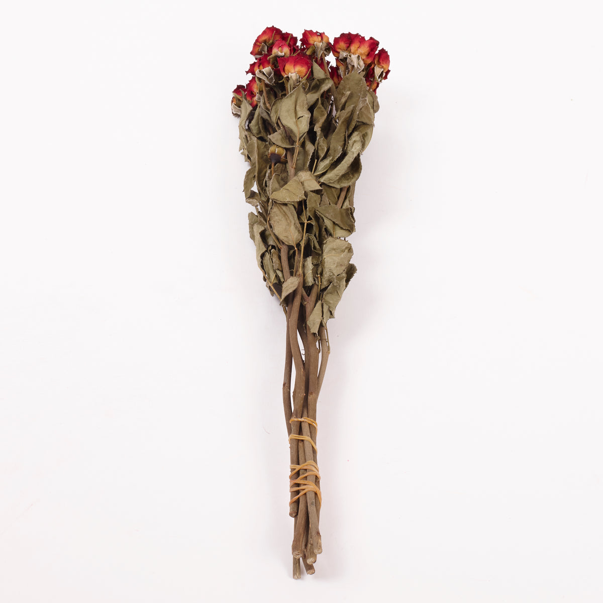 Roses, Spray, Dried, Natural Red, x 8 stems