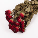 Roses, Spray, Dried, Natural Red, x 8 stems