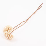 Magnolia Ball, White, Bunch x 2 Stems