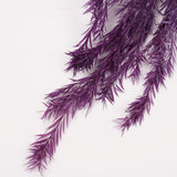 Melaleuca bractata, Preserved, Purple, 100g Bunch