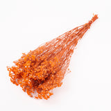 Gypsophila, Preserved, Orange, 100g