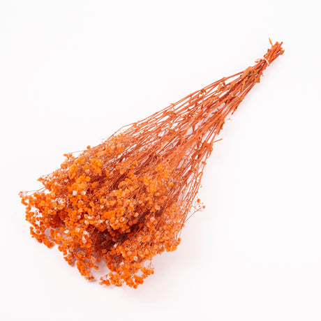 Gypsophila, Preserved, Orange, 100g