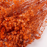 Gypsophila, Preserved, Orange, 100g