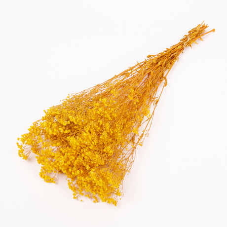 Gypsophila, Preserved, Yellow, 100g