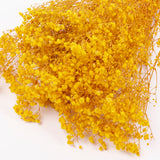Gypsophila, Preserved, Yellow, 100g