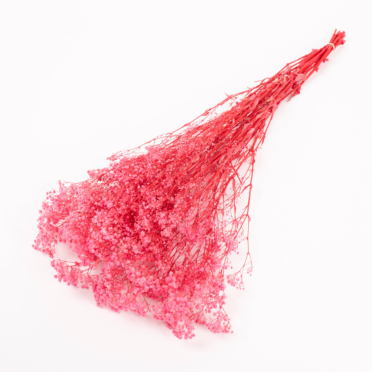 Gypsophila, Preserved, Pink, 100g