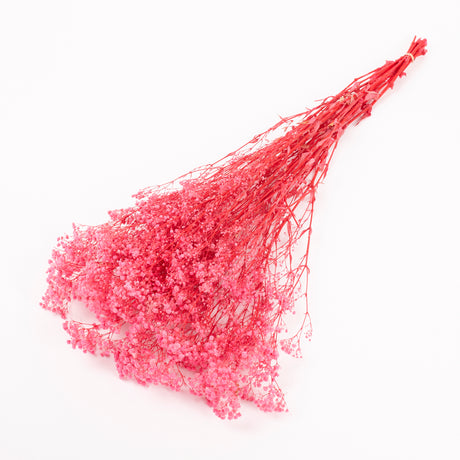 Gypsophila, Preserved, Pink, 100g
