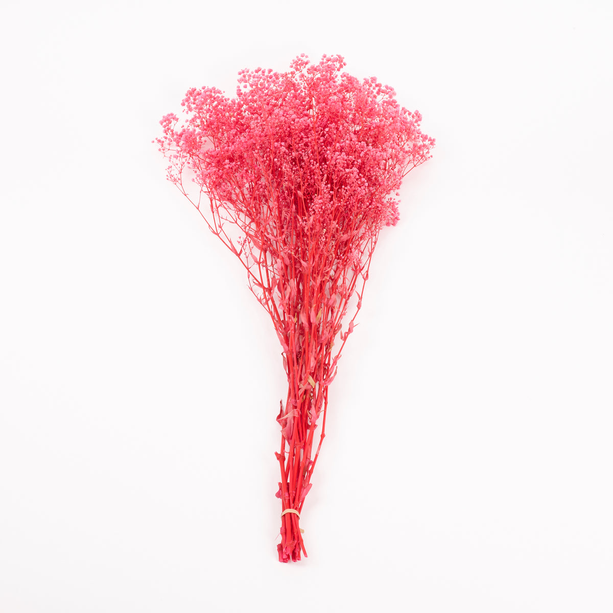 Gypsophila, Preserved, Pink, 100g