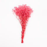 Gypsophila, Preserved, Pink, 100g