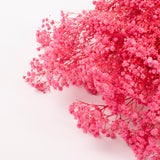 Gypsophila, Preserved, Pink, 100g