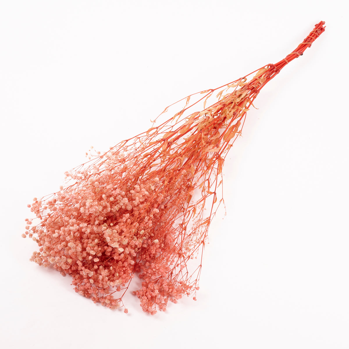 Gypsophila, Preserved, Pale Pink, 100g