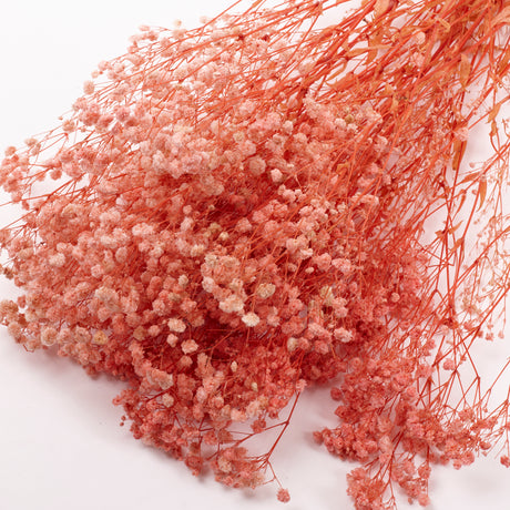 Gypsophila, Preserved, Pale Pink, 100g