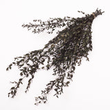 Eucalyptus Saligna, Preserved, Green, 100g Bunch