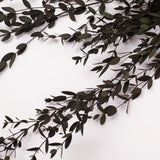 Eucalyptus Saligna, Preserved, Green, 100g Bunch