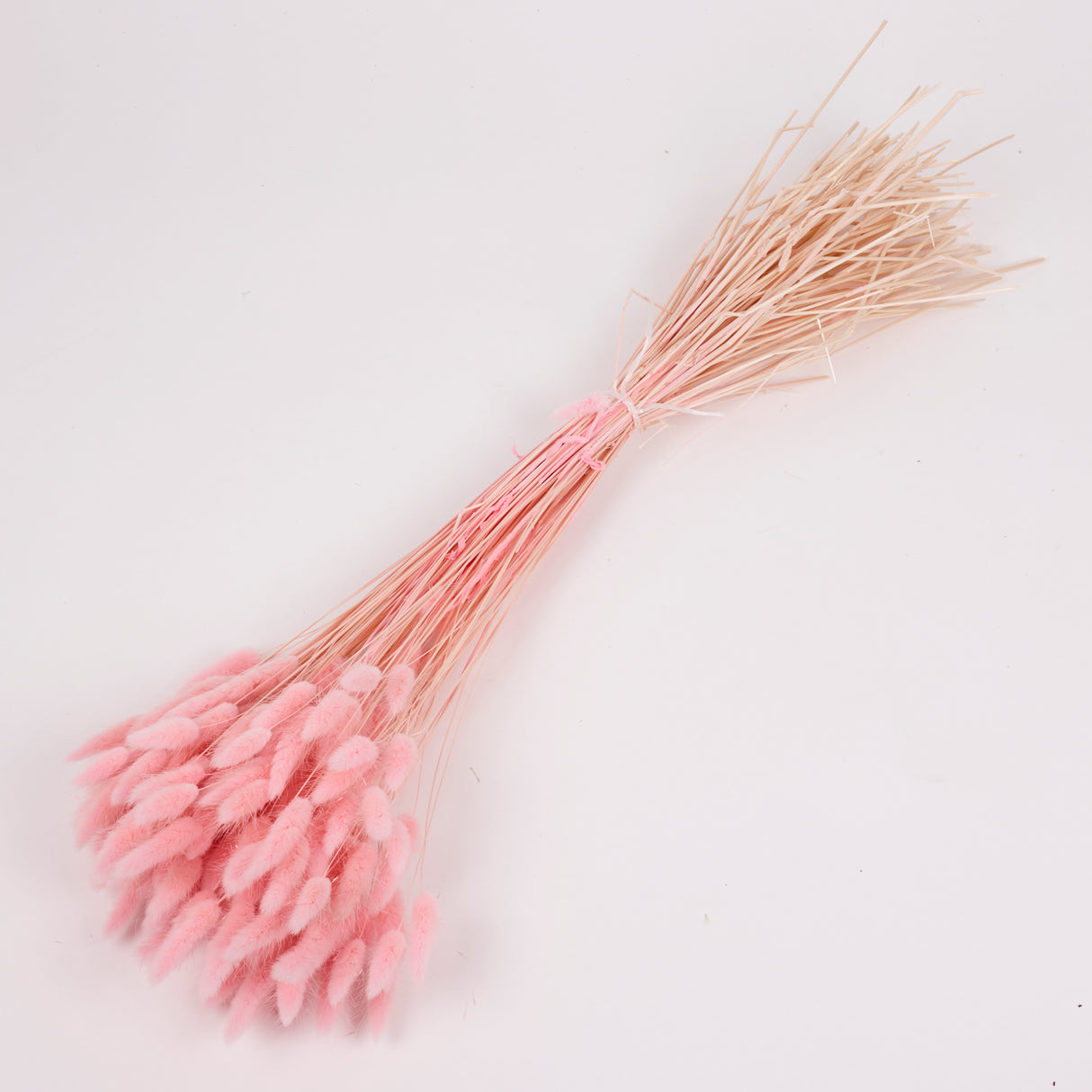Lagurus ovatus, (Bunny Tails), Dried, Pale Pink, 100g