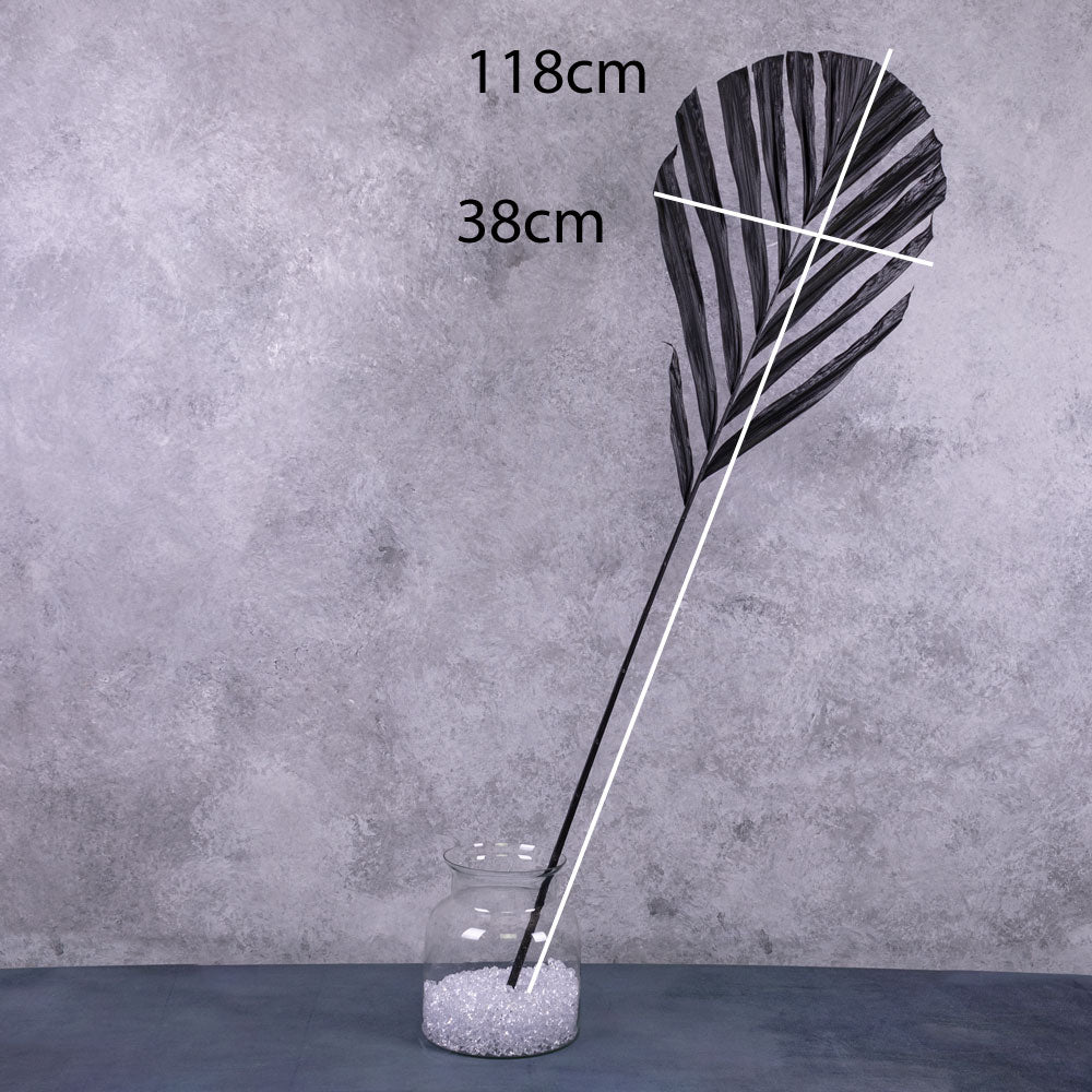 Palm Fan Stem, Black, 118x38cm, Artificial