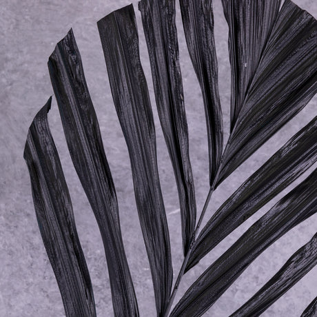 Palm Fan Stem, Black, 118x38cm, Artificial