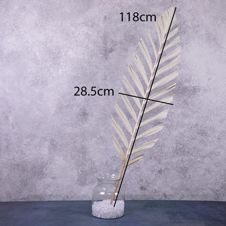 Palm Stem, White, 118 x 28cm, Dried