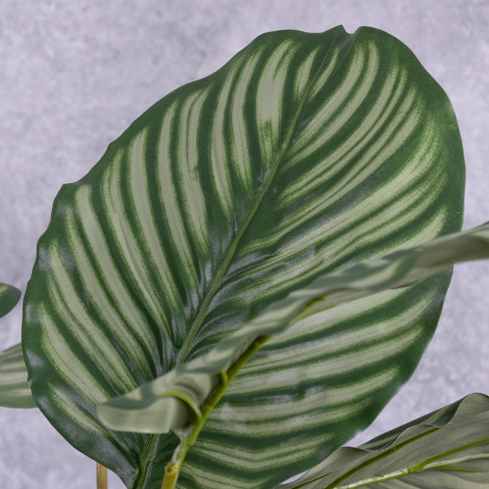 Close up detail of faux Calathea leaves