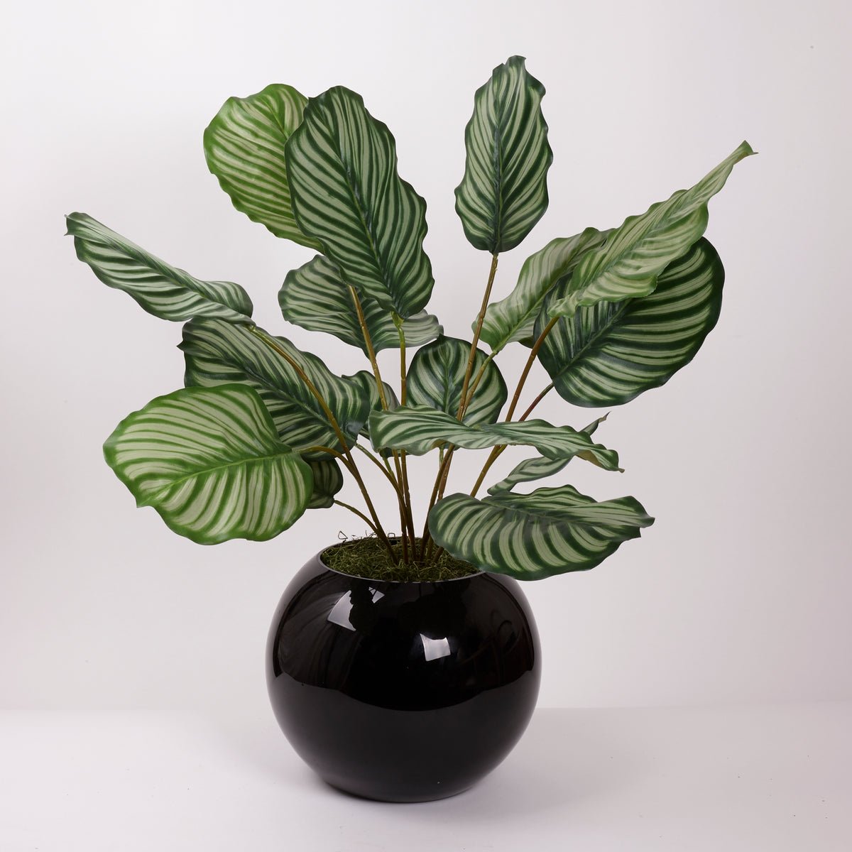 Calathea orbifolia, Artificial, Natural Touch Leaves 76cm