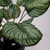 Calathea orbifolia, Artificial, Natural Touch Leaves 76cm