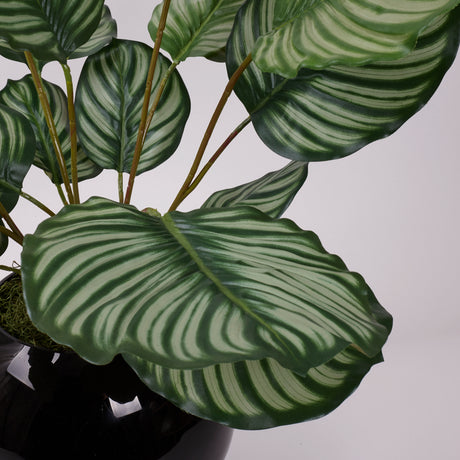 Calathea orbifolia, Artificial, Natural Touch Leaves 76cm