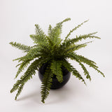 Boston or Nephrolepis Fern Plant, Artificial, diameter 90cm, UV