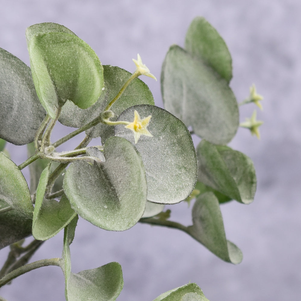 An artificial dichondra falls plants showing a close up on the leaves