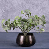 An artificial dichondra falls plants in a black, brushed metal pot cover