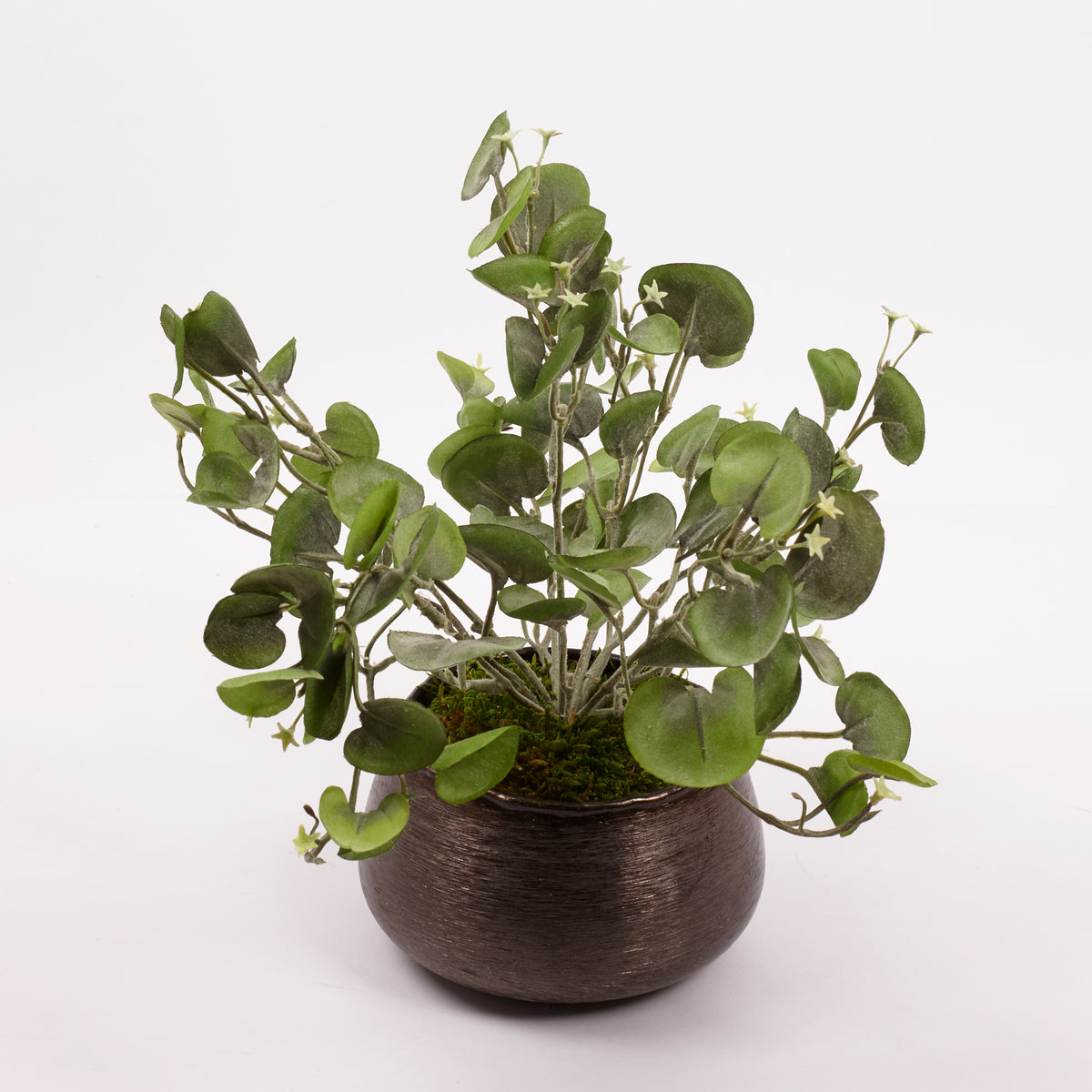 Dichondra Silver Falls Bush, Artificial, 25cm
