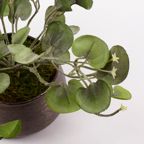 Dichondra Silver Falls Bush, Artificial, 25cm