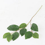 Apple Leaf Branch, Green, 77cm