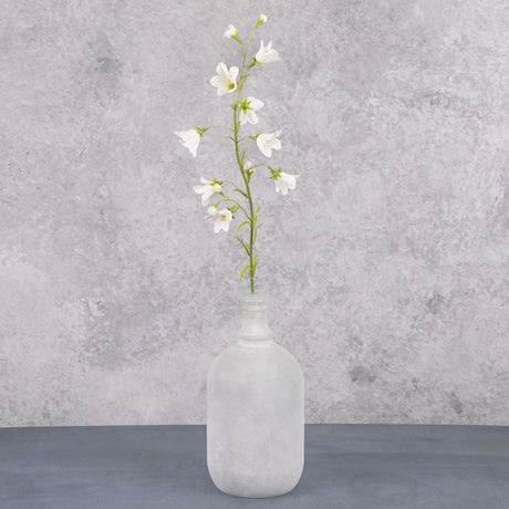 Campanula, (Bell Flower), White, 66cm
