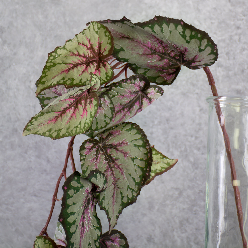 Faux Begonia Rex, 111cm, Red / Green