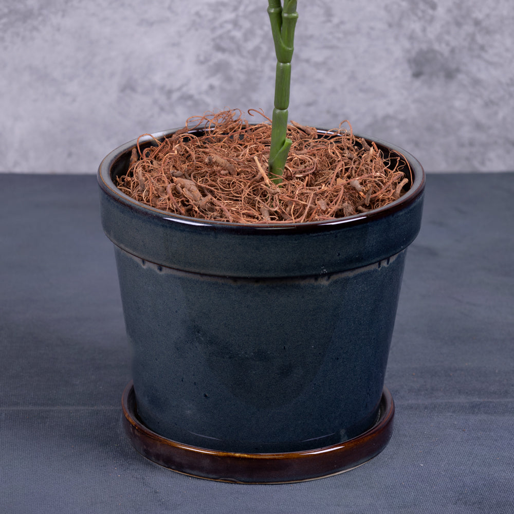 A faux Allocasia plant in an airforce blue pot, focusing on the plant plug and pot detail