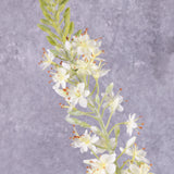 Faux Eremurus, Foxtail Lily, White, 106cm