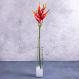 An artificial heliconium flower in bright red, displayed in a clear glass vase