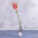 An artificial heliconium flower in bright pink, displayed in a clear glass vase