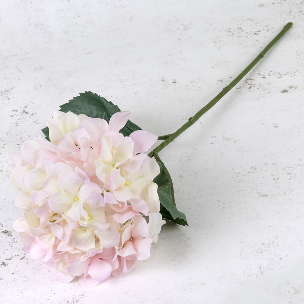 Hydrangea Imperial, White/Pink, 68cm