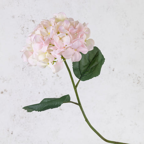 Hydrangea Imperial, White/Pink, 68cm