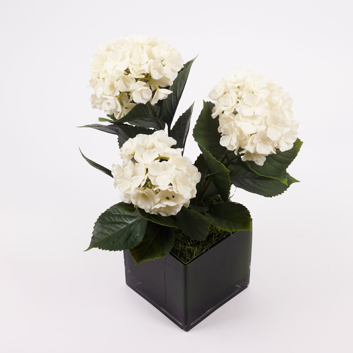 Hydrangea Plant, Artificial, Cream, 43cm, UV