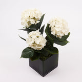 Hydrangea Plant, Artificial, Cream, 43cm, UV