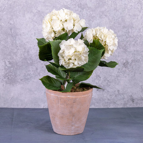 Hydrangea Plant, Cream, 43cm, Faux, UV