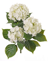 Hydrangea Plant, Artificial, Cream, 43cm, UV