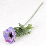 Anemone Lisa, Lilac, 7cm x 32cm